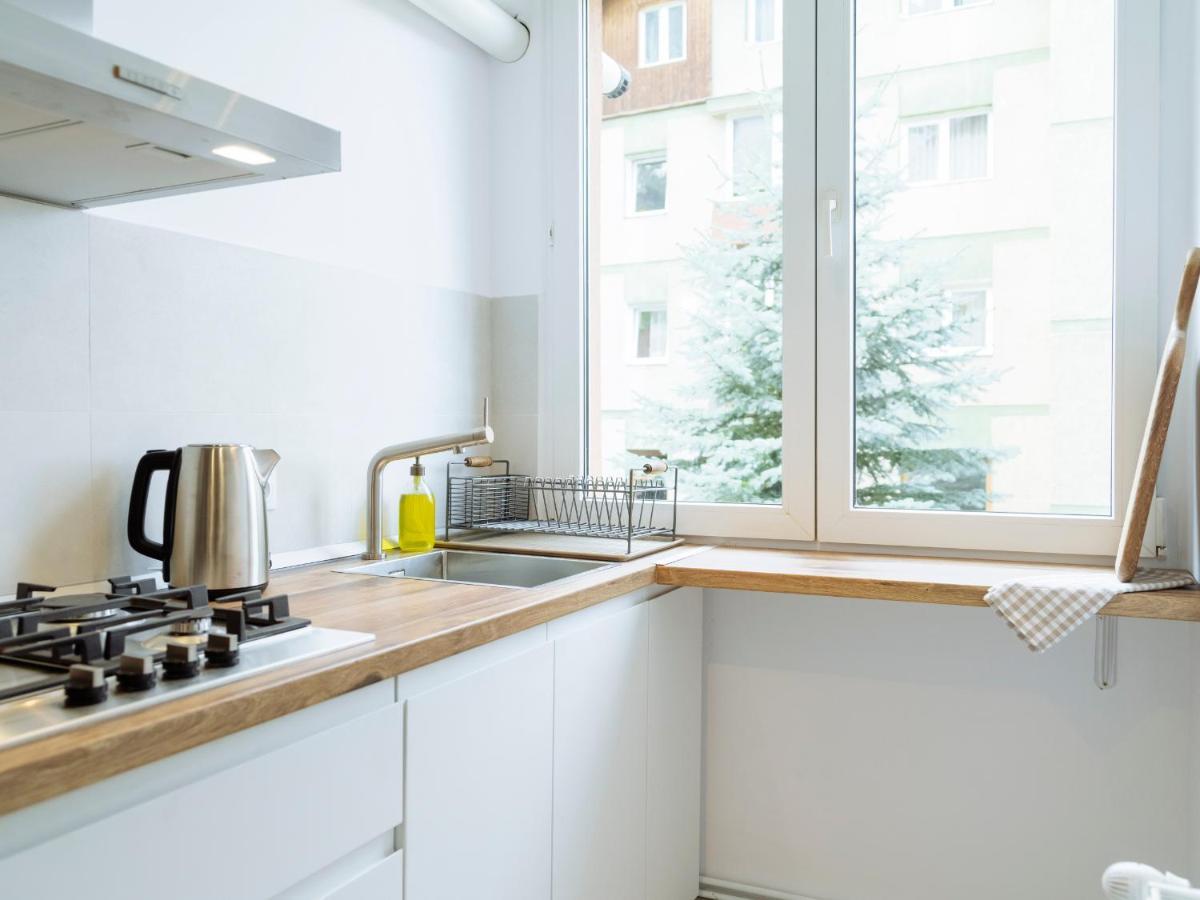 Cozy Central Apartment Near The Forest Брашов Экстерьер фото