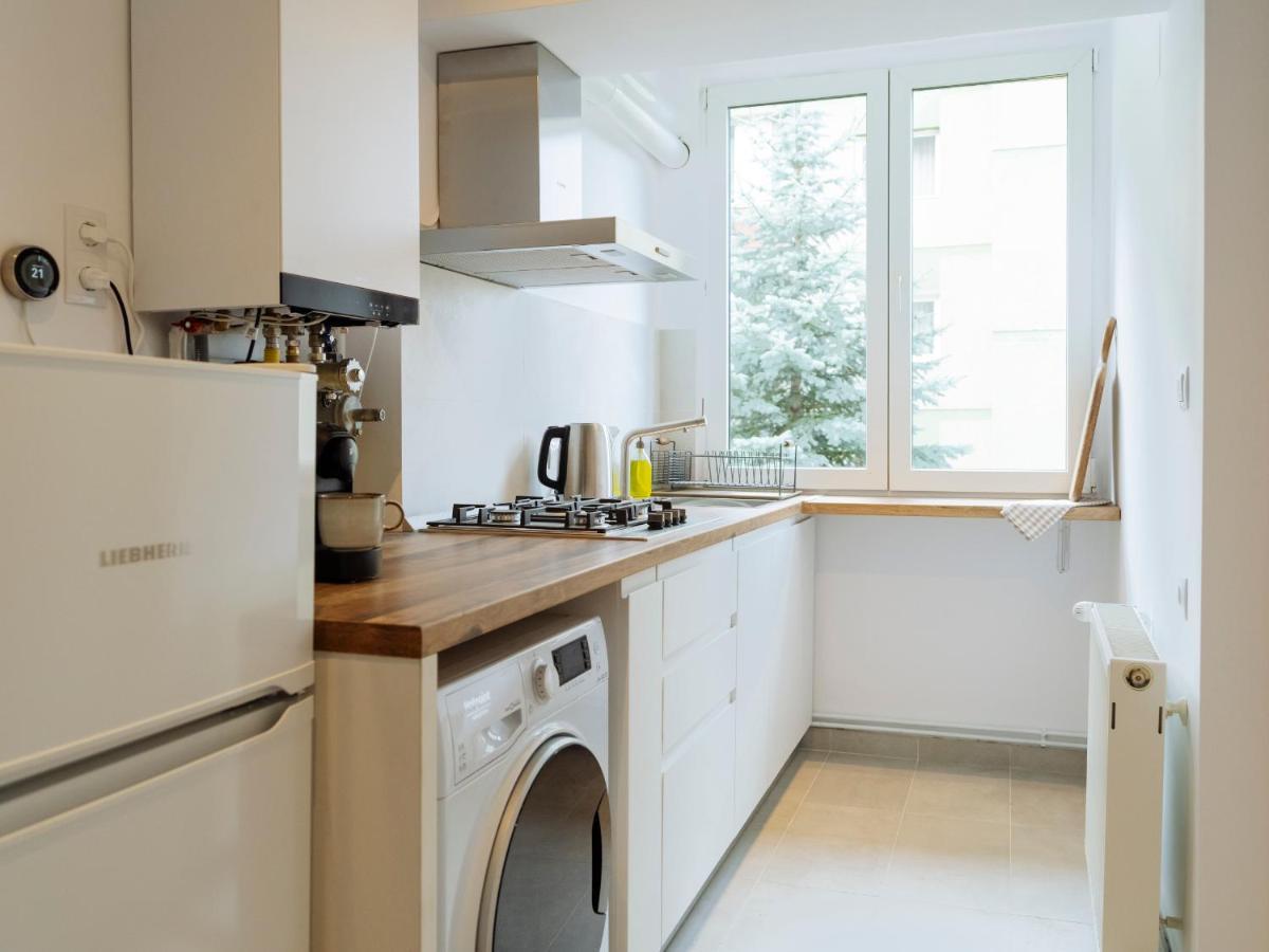 Cozy Central Apartment Near The Forest Брашов Экстерьер фото