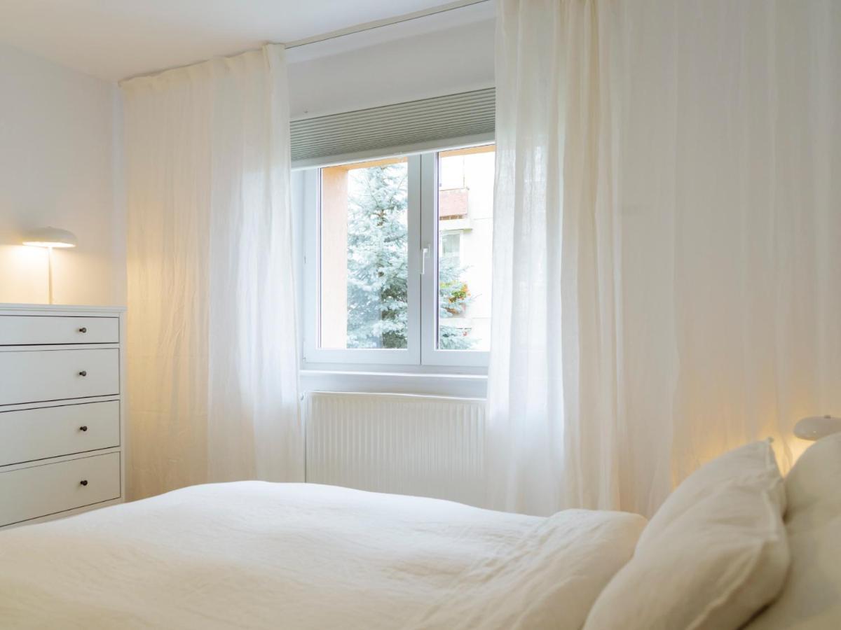 Cozy Central Apartment Near The Forest Брашов Экстерьер фото
