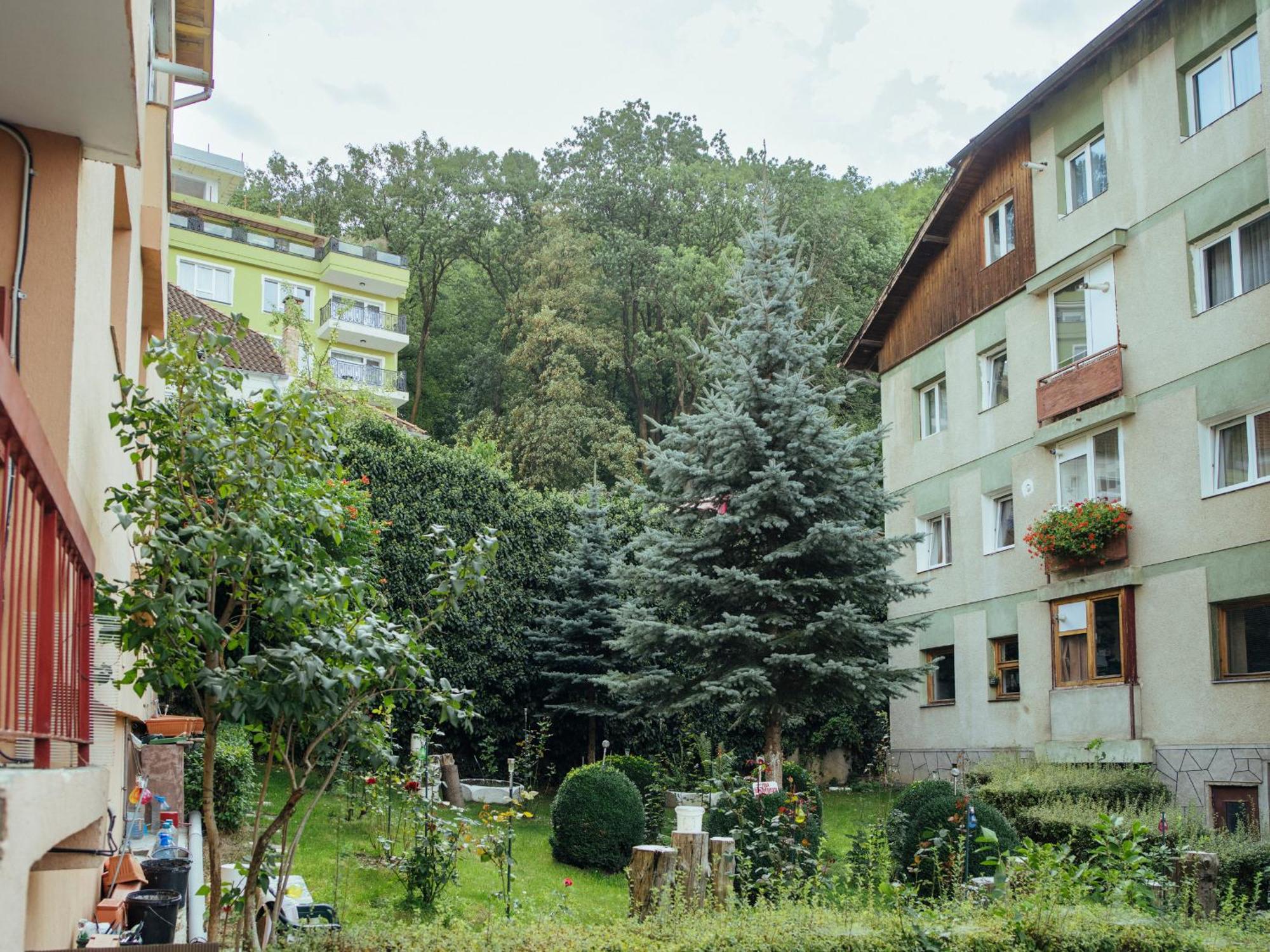 Cozy Central Apartment Near The Forest Брашов Экстерьер фото